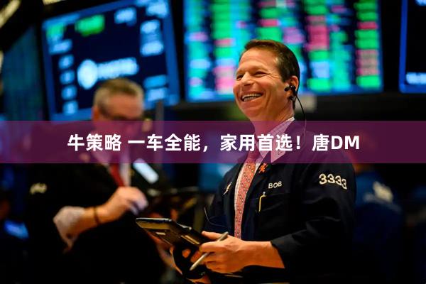 牛策略 一车全能，家用首选！唐DM