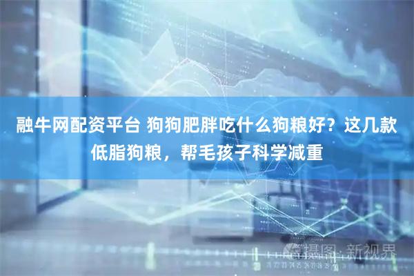 融牛网配资平台 狗狗肥胖吃什么狗粮好？这几款低脂狗粮，帮毛孩子科学减重